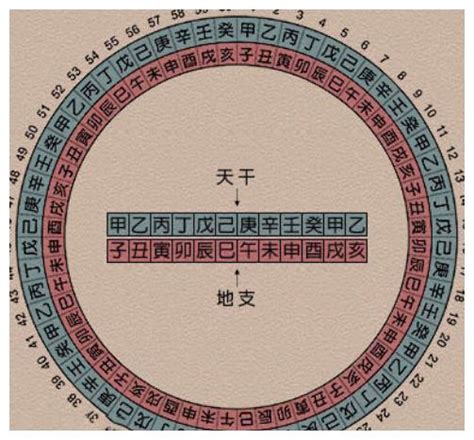 天干地支 算法|天干地支纪年法入门指南